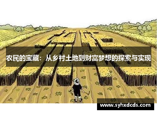 农民的宝藏：从乡村土地到财富梦想的探索与实现