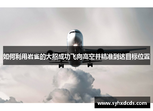 如何利用岩雀的大招成功飞向高空并精准到达目标位置