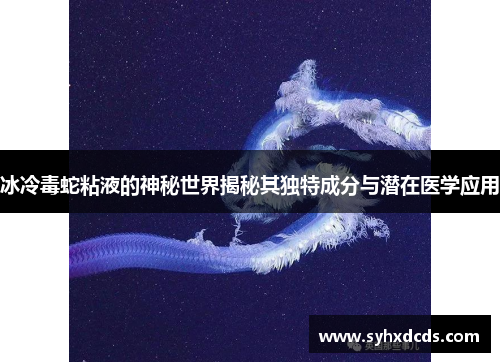 冰冷毒蛇粘液的神秘世界揭秘其独特成分与潜在医学应用