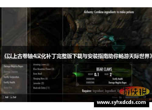 《以上古卷轴4汉化补丁完整版下载与安装指南助你畅游天际世界》