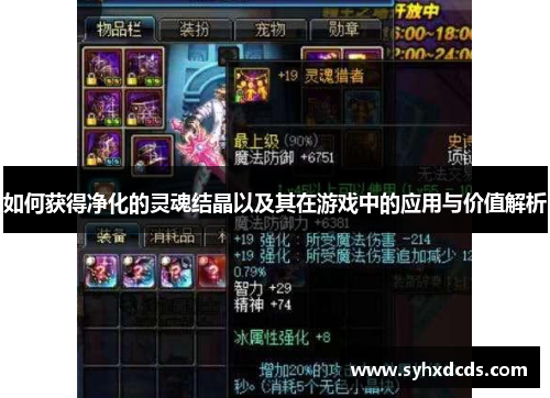 如何获得净化的灵魂结晶以及其在游戏中的应用与价值解析