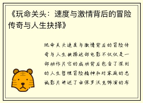 《玩命关头：速度与激情背后的冒险传奇与人生抉择》