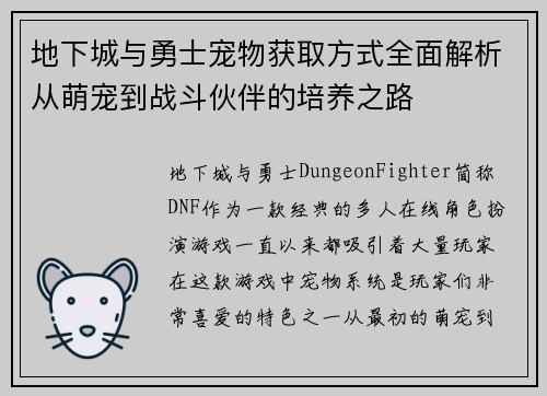 地下城与勇士宠物获取方式全面解析从萌宠到战斗伙伴的培养之路